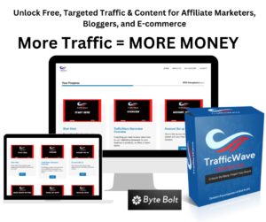 More-Traffic-MORE-MONEY